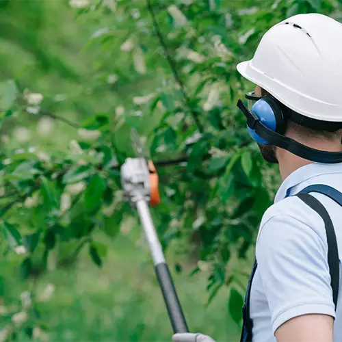 [Test] Project Form Title - City, ST