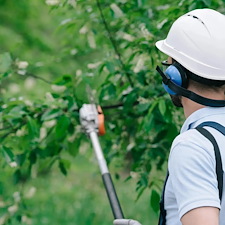 Test-Project-Form-Title-City-ST 0